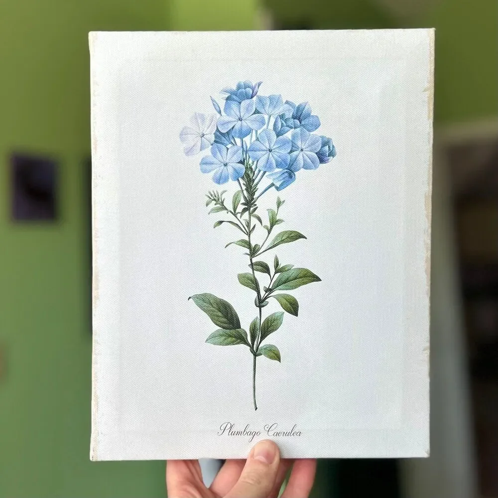 Rustic Charming Blue Plumbago Flower Canvas Wrapped Wall Sign Accent Cottagecore